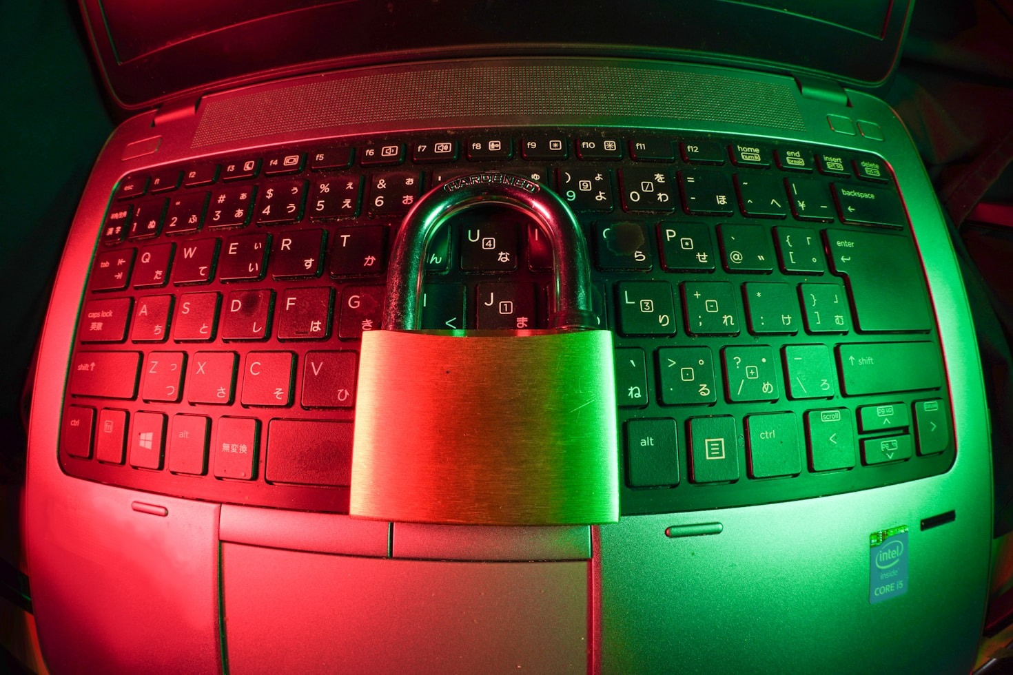 Diferenças entre e-CPF e e-CNPJ explicadas